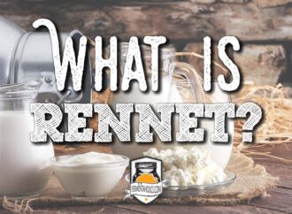 Rennet: The Enzyme Behind Cheese-Making Evolution