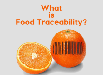 Tracking Food Safety: The Impact of Traceability in India’s Food Chain