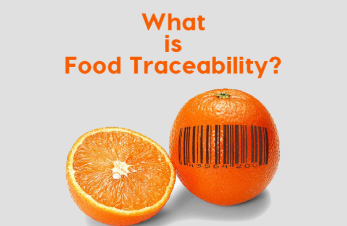 Tracking Food Safety: The Impact of Traceability in India’s Food Chain