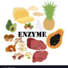 Enzymes in Food: Boosting Quality, Nutrition, and Sustainability