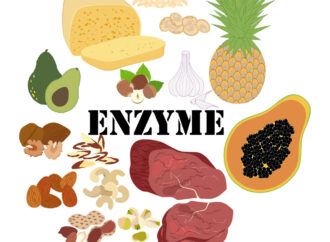 Enzymes in Food: Boosting Quality, Nutrition, and Sustainability