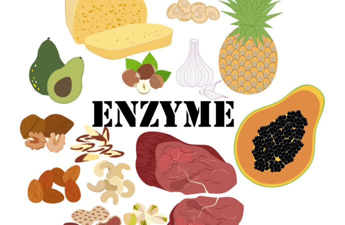 Enzymes in Food: Boosting Quality, Nutrition, and Sustainability