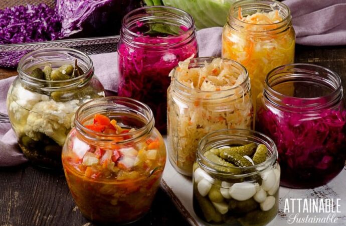 Understanding Fermentation: Process, Benefits, and Its Role in Food Preservation