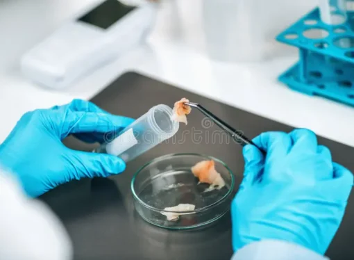 ICAR-CIFT Hosts Training on Fish Safety Through Microbiological Testing