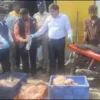 Chennai Authorities Dispose of 350kg Spoiled Fish at Kasimedu Market