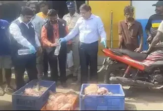 Chennai Authorities Dispose of 350kg Spoiled Fish at Kasimedu Market