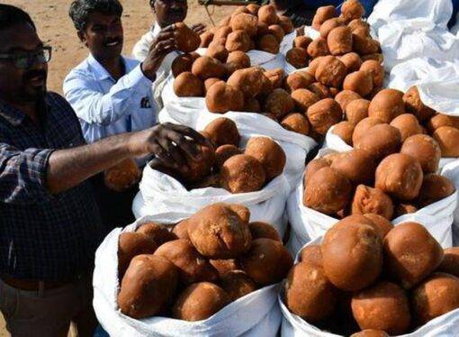 Tamil Nadu Food Safety Inspects Jaggery Market in Erode for Contamination