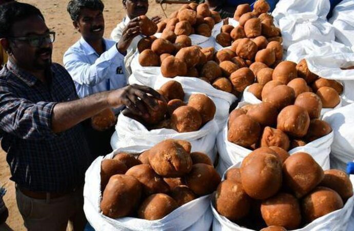 Tamil Nadu Food Safety Inspects Jaggery Market in Erode for Contamination