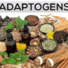 Nature’s Stress Busters: Unlocking the Power of Adaptogens