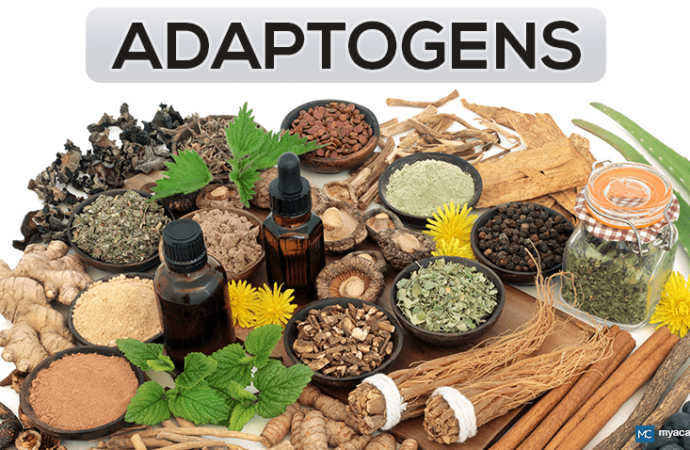 Nature’s Stress Busters: Unlocking the Power of Adaptogens