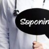 Saponins: Understanding Their Role in Plant-Based Foods