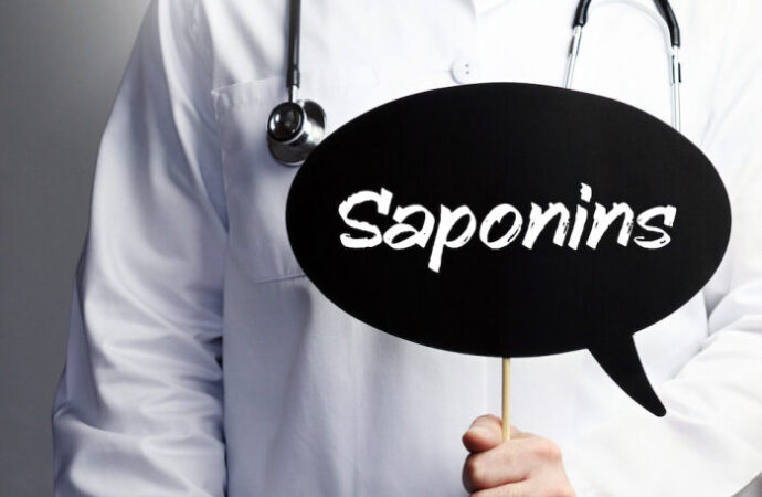 Saponins: Understanding Their Role in Plant-Based Foods