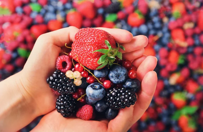 From Fruit to Fitness: Flavonoids and Their Health-Boosting Benefit