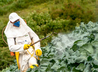 Government Strengthens Efforts to Monitor Pesticide Residues in Food