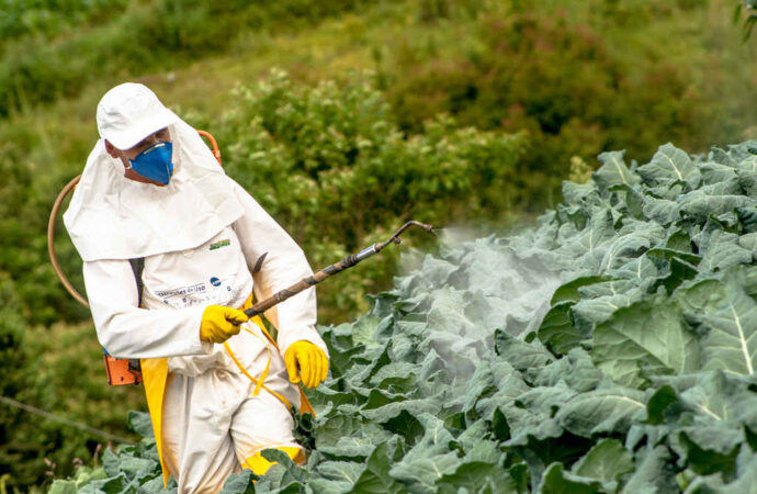 Government Strengthens Efforts to Monitor Pesticide Residues in Food