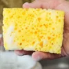 Keep Kitchen Sponges Clean to Prevent Foodborne Illness