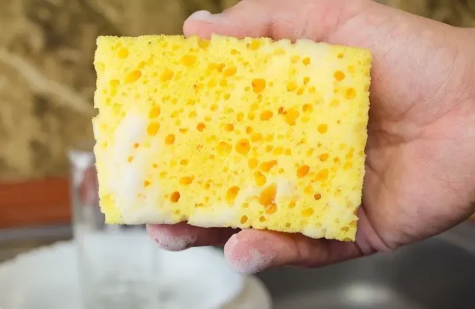 Keep Kitchen Sponges Clean to Prevent Foodborne Illness