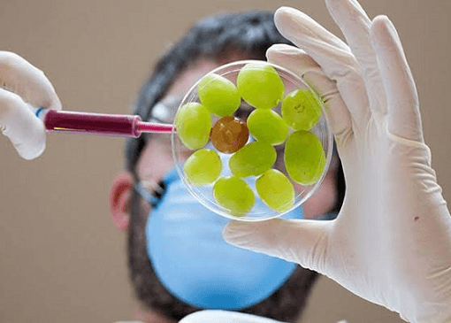 Telangana’s First Microbiology Lab to Combat Food Adulteration