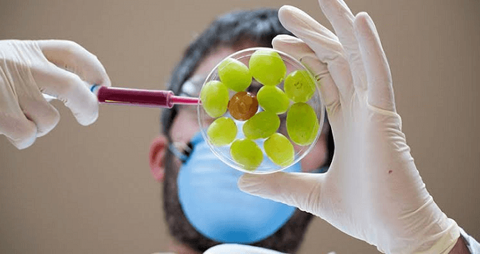 Telangana’s First Microbiology Lab to Combat Food Adulteration