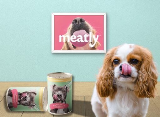 Lab-Grown Meat Introduced in UK Pet Food Market