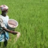 Tamil Nadu Organic Farmers’ Conference promotes sustainability