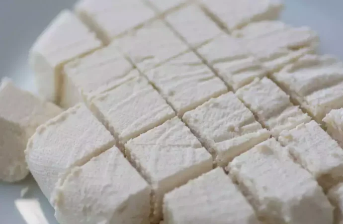 Maharashtra Assembly Seeks Ban on  Analogue Cheese and Paneer