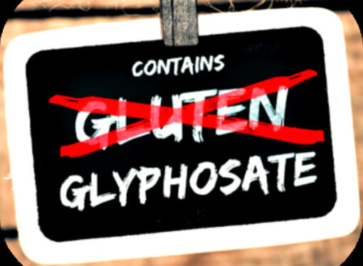 Glyphosate in Your Daily Diet: How Much Are You Consuming?