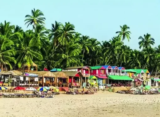 Crack Down on Substandard Food & Drink in North Goa