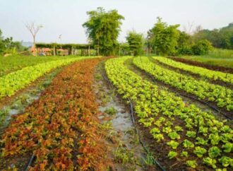 Global Seminar Highlights Sustainable Farming and Plant Health