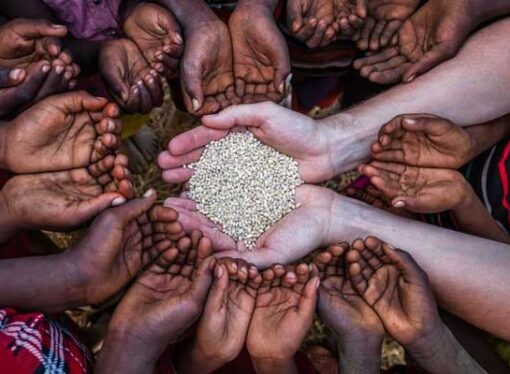 Government Limits Food Safety Net Expansion Until Next Census