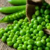 The Shocking Truth About Green Peas Adulteration: How Safe Are They?