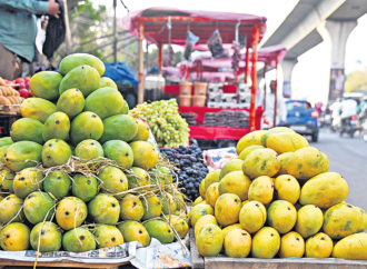 GHMC Cracks Down on Illegal Fruit Ripening