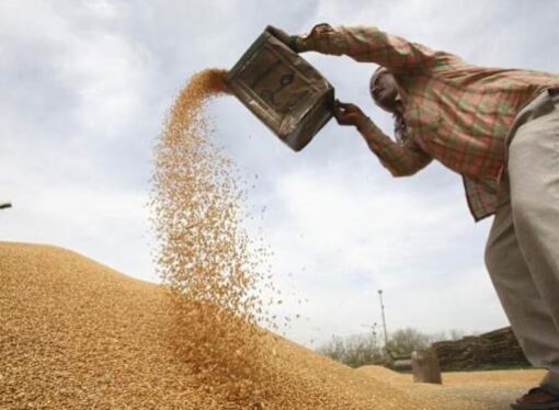 Wheat Flour Fortification Begins in UP Through PDS