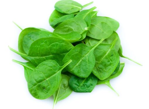 Contaminated Leafy Greens: A Rising Food Safety Issue in India