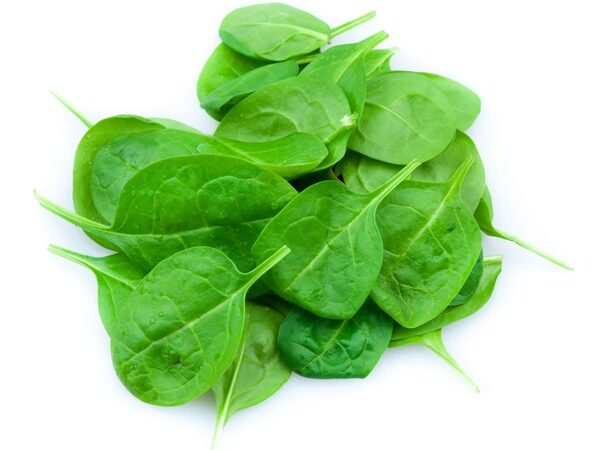 Contaminated Leafy Greens: A Rising Food Safety Issue in India