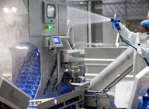 Why Disinfection is the Key to Ensuring Food Safety and Quality