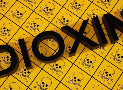 Unmasking Dioxins: Hidden Toxins in Food and Their Health Risks