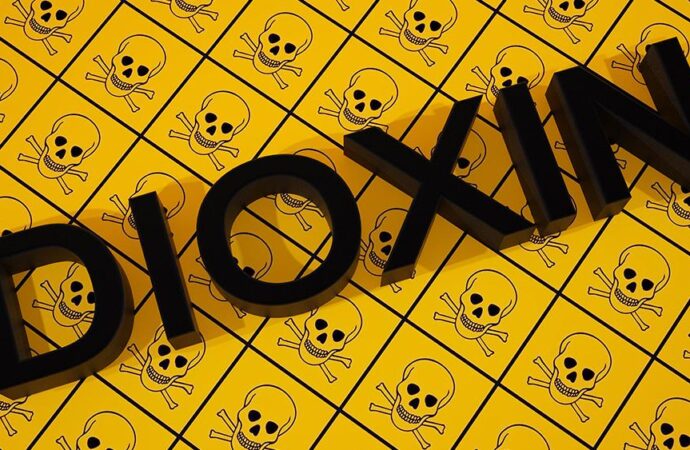 Unmasking Dioxins: Hidden Toxins in Food and Their Health Risks