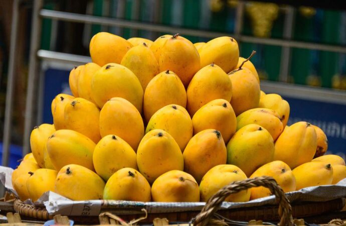 Telangana Promotes Safe Mango Ripening with Ethephon