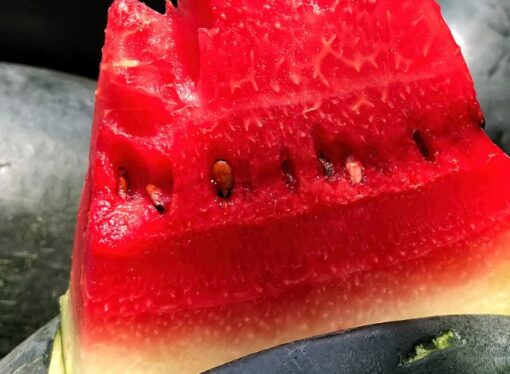 Beware of Chemically-Treated Watermelon This Summer warns FSSAI