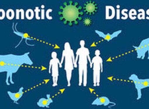 Zoonotic Diseases: A Critical Concern in Food Safety