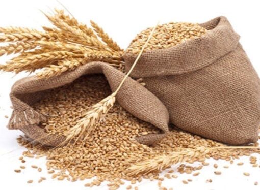 Concerns Rise Over Jute Packaging Safety Ahead of FSSAI Consultation
