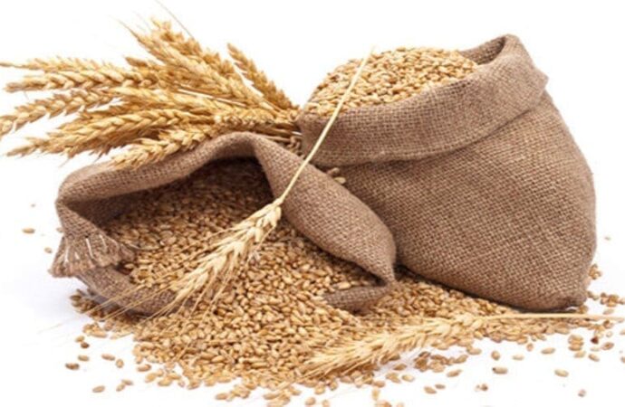 Concerns Rise Over Jute Packaging Safety Ahead of FSSAI Consultation