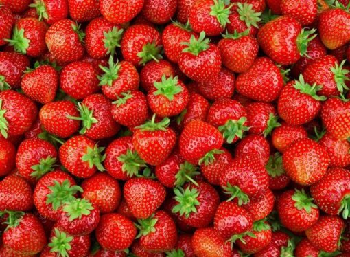 Antimicrobial Coatings: A Game Changer in Food Safety and Shelf Life