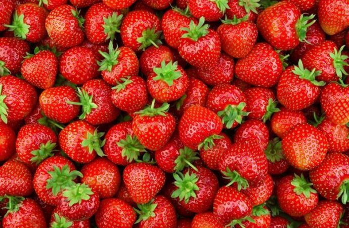 Antimicrobial Coatings: A Game Changer in Food Safety and Shelf Life
