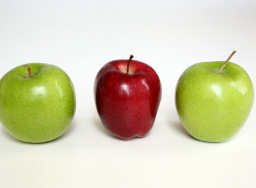 Shiny Apples & Plastic Vegatables? Busting Food Myths That Won’t Die