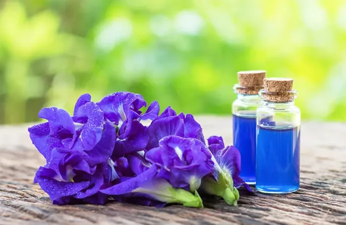 FDA Approves Natural Dyes to Replace Synthetics in U.S. Foods