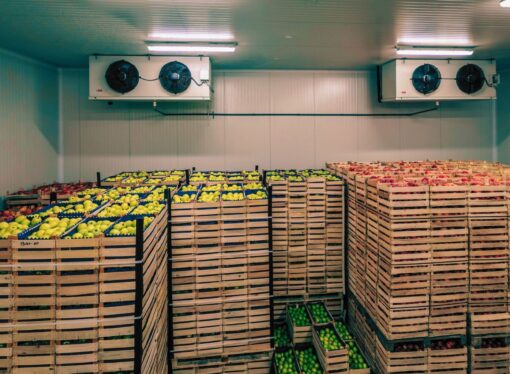 Why the Food Cold Chain Matters: Keeping Food Fresh and Safe