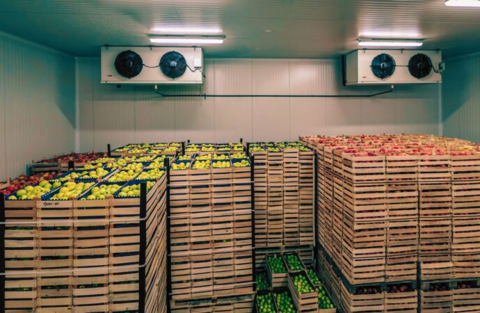 Why the Food Cold Chain Matters: Keeping Food Fresh and Safe