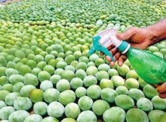 Panchkula Cracks Down on Unsafe Fruits in Surprise Market Inspection